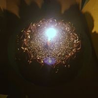 Vegan choco truffle cake. at Bakeology in Raipur