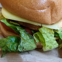 Vegan burger at LEON - Millenium Walkway in Dublin