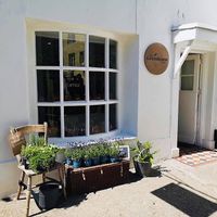 Outside view with herbs and lavender at The GreenHouse in Looe