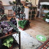 Front view of the shop at The GreenHouse in Looe