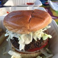 Falafel burger.  So good! at Elevate in St Augustine