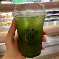   at DOH - Evergreen Organics in Doha