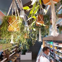  at DOH - Evergreen Organics in Doha