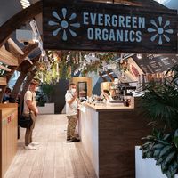  at DOH - Evergreen Organics in Doha