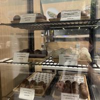   at DOH - Evergreen Organics in Doha