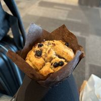   at DOH - Evergreen Organics in Doha