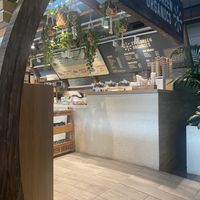   at DOH - Evergreen Organics in Doha