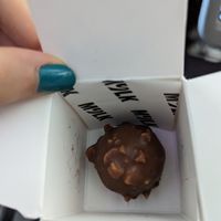 Ferrero at DOH - Evergreen Organics in Doha