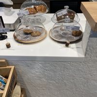   at DOH - Evergreen Organics in Doha