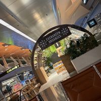 Really lovely place  at DOH - Evergreen Organics in Doha