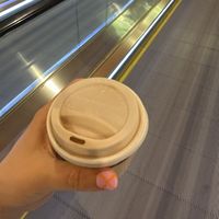   at DOH - Evergreen Organics in Doha