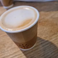  at DOH - Evergreen Organics in Doha