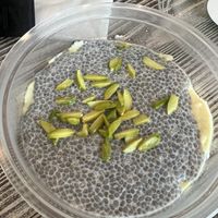   at DOH - Evergreen Organics in Doha