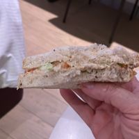   at DOH - Evergreen Organics in Doha