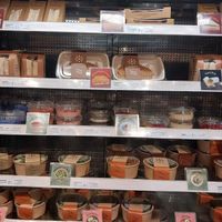  at DOH - Evergreen Organics in Doha