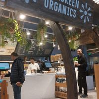  at DOH - Evergreen Organics in Doha