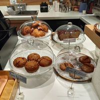  at DOH - Evergreen Organics in Doha