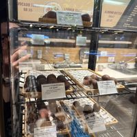   at DOH - Evergreen Organics in Doha