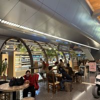   at DOH - Evergreen Organics in Doha