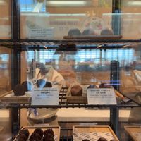   at DOH - Evergreen Organics in Doha