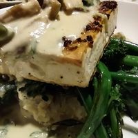  at Sprig and Vine in New Hope