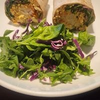 Breakfast burrito at Sprig and Vine in New Hope