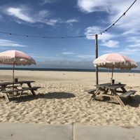 Vieuw  at Beachclub BIRDS in The Hague