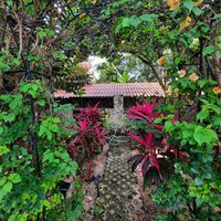 The lush garden at Casa Kaan in Merida