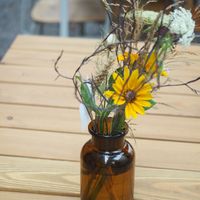 Beautiful outdoor seating at Etapa in Prague