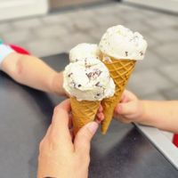  at IJssalon Pierre in Budel