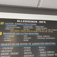 9 different types of vegan icecream at IJssalon Pierre in Budel