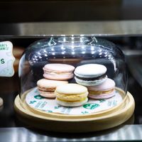 Macarons at Nature's Charm in Bangkok