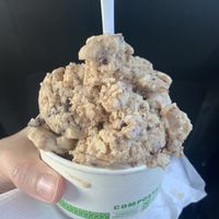 Vegan peanut butter chocolate chip  at Rosie's Ice Cream in Shediac