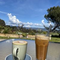 Coffee and freshly squeezed juice with great views   at Cafe Stepping Stone in Canberra