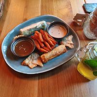 Gemischte Vorspeisenplatte (Sommerrollen, Frühlingsrollen, Wan-Tans, Gyozas und Süßkartoffelpommes) at Com Chay in Mannheim