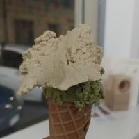   at Gelateria Stefino in Bologna