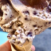 Mint chocolate   at Gelateria Stefino in Bologna