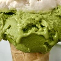 Matcha   at Gelateria Stefino in Bologna