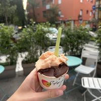 Melon and chocolate hazelnut   at Gelateria Stefino in Bologna