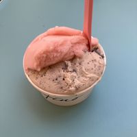 Coppetta media with lemon-basil and mint-chocolate    at Gelateria Stefino in Bologna