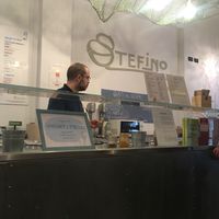 The counter  at Gelateria Stefino in Bologna