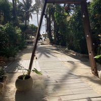 Entrance to the restaurant  at Lido Beach Club  in Playa Del Carmen