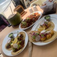 The vegan nachos with jackfruit were incredible. We will absolutely order again. The tacos were the jackfruit and the Baja cauliflower. Both were amazing and would recommend!! at Lido Beach Club  in Playa Del Carmen
