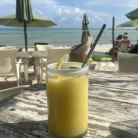 Mango daiquiri  at Lido Beach Club  in Playa Del Carmen