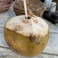 Coconut  #Veganuary at Lido Beach Club  in Playa Del Carmen