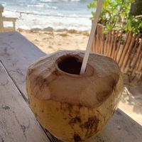 Coco #Veganuary at Lido Beach Club  in Playa Del Carmen