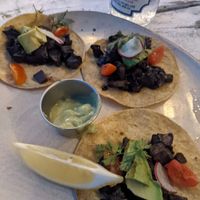 Mushroom taco at Lido Beach Club  in Playa Del Carmen