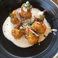 Cauliflower shrimp   at Lido Beach Club  in Playa Del Carmen