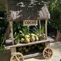   at Lido Beach Club  in Playa Del Carmen