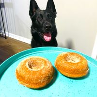 Apple Cider Donuts, Bowser approved. ✅✅✅ at Jennifer Lee's Gourmet Bakery in Worcester